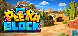 Peekablock Playtest