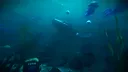 Paleo Dive Screenshot 6