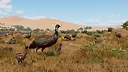 Planet Zoo: Grasslands Animal Pack Screenshot 3