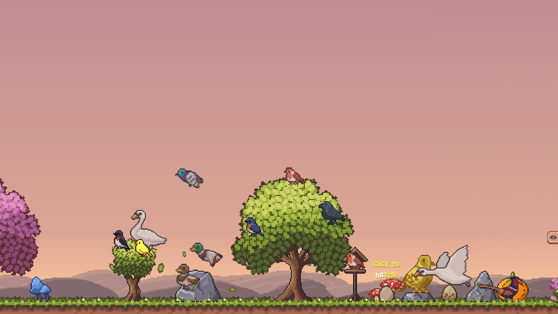 Little Aviary Screenshot 0