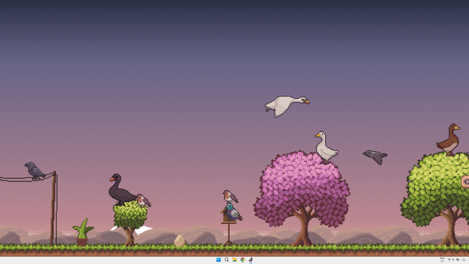 Little Aviary Screenshot 4