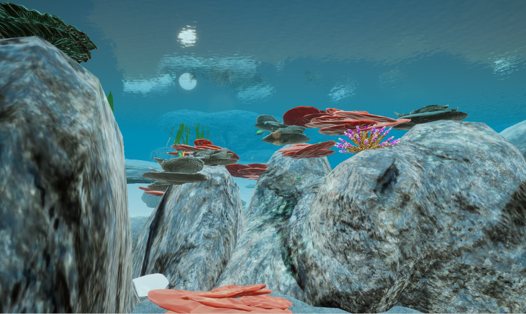 Coralland Screenshot 6