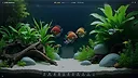My Beautiful Aquarium Screenshot 0