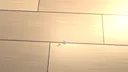 Dust Bunny Simulator Screenshot 4