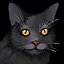 A New Day icon