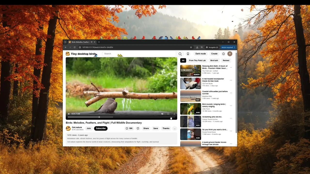 Tiny Desktop Birds Screenshot 3