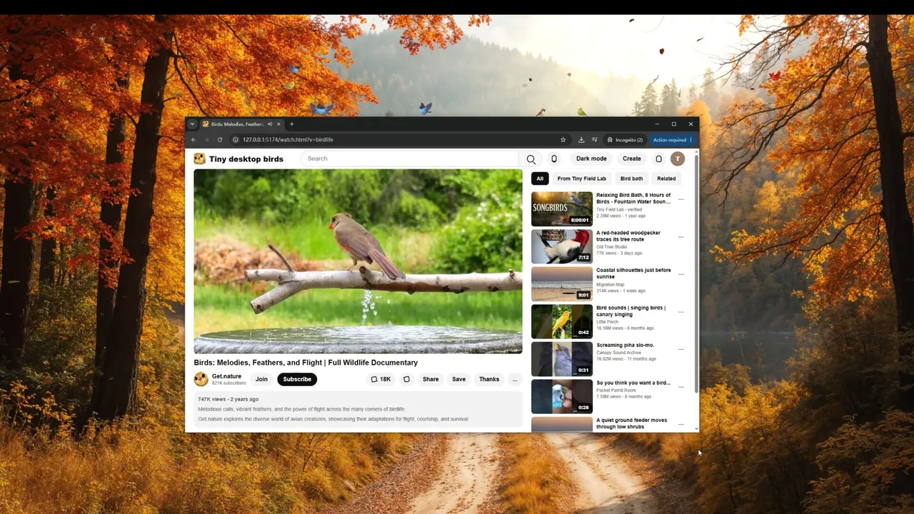 Tiny Desktop Birds Screenshot 4