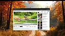 Tiny Desktop Birds Screenshot 4