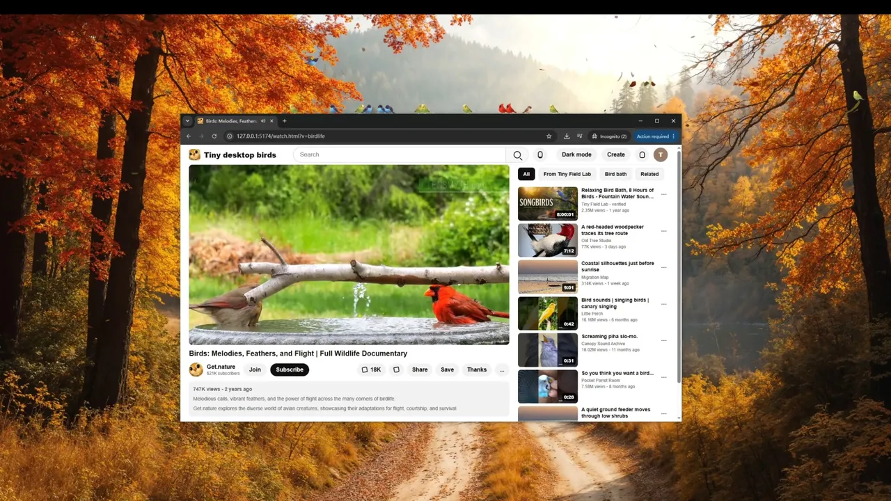 Tiny Desktop Birds Screenshot 2