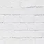 Watch White Paint Dry icon