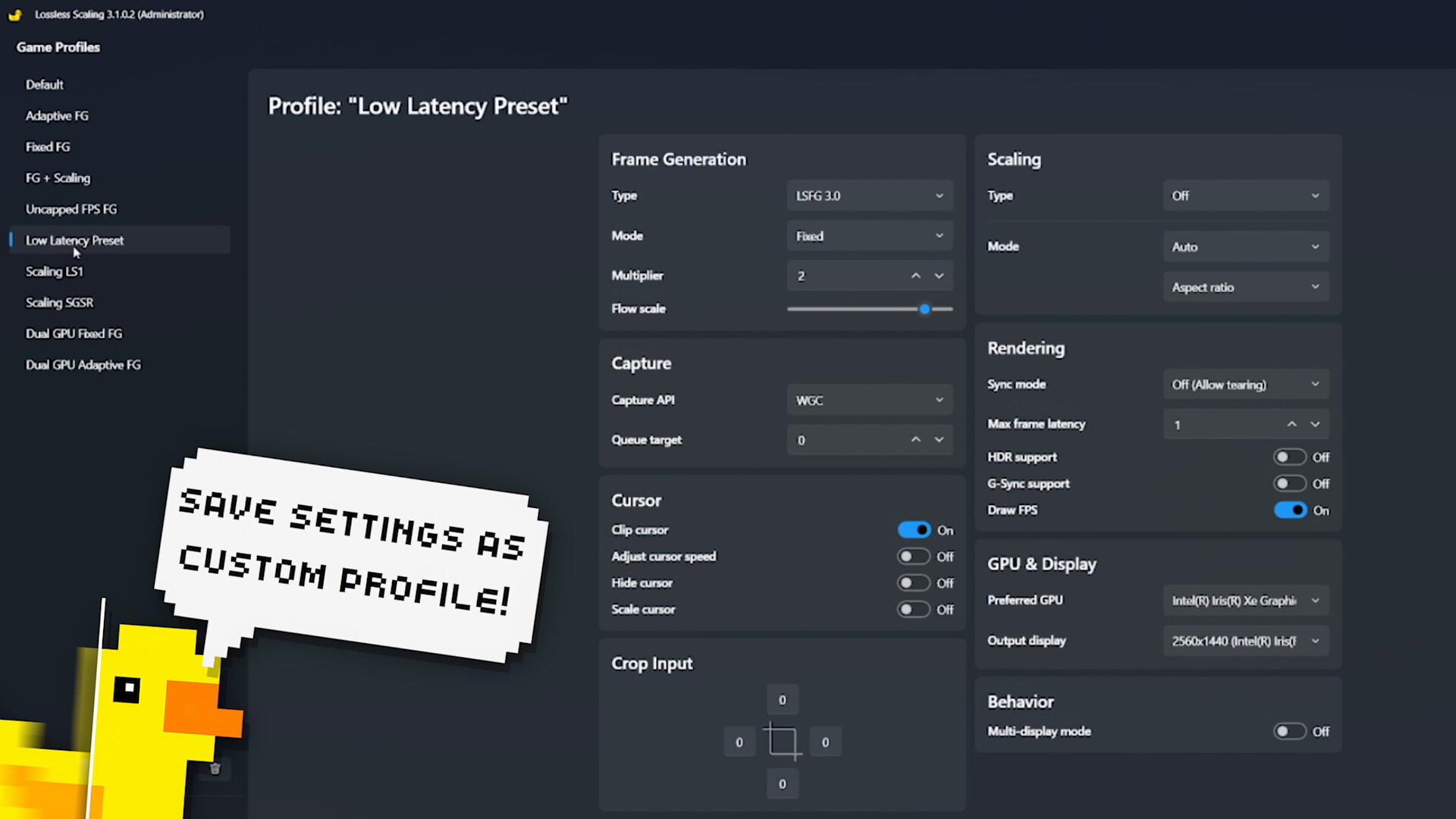 Lossless Scaling Screenshot 5