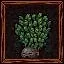 Turnip icon