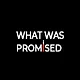 What Was Promised Screenshot 0