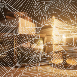 Spring-cleaning icon