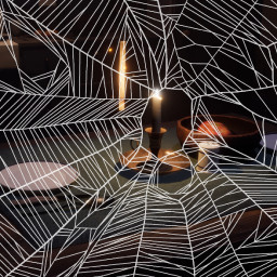 Dinner is ready icon