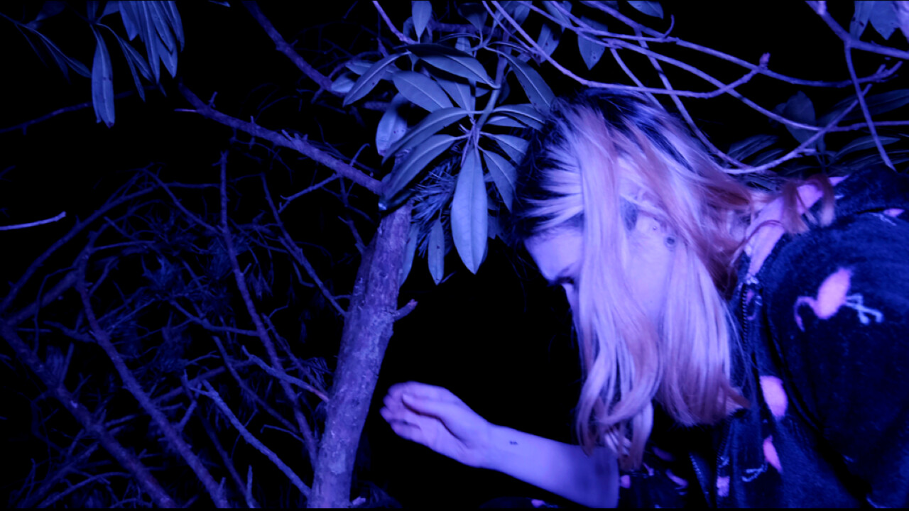 Single Player: Horror Screenshot 3