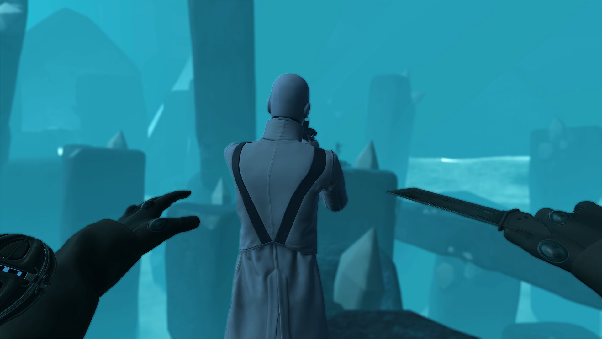 VAIL: Extraction Screenshot 1