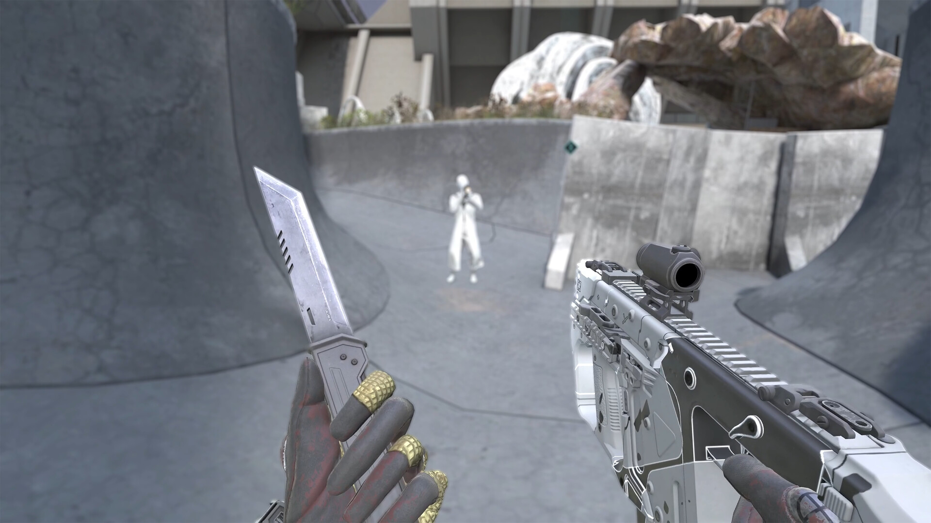 VAIL: Extraction Screenshot 4