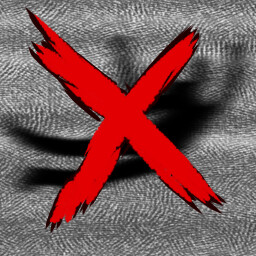 Get Thrown By The Rake icon