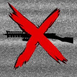 Find The Coil Gun icon