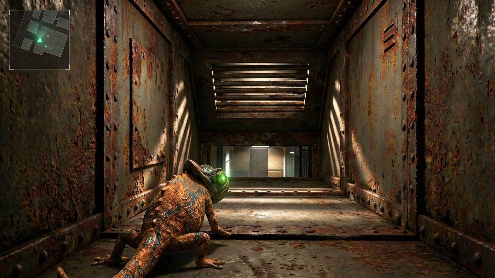 Gecko: Wall Hacker Screenshot 5