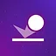 Reflecting Ball icon