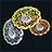 Rank Chaser!