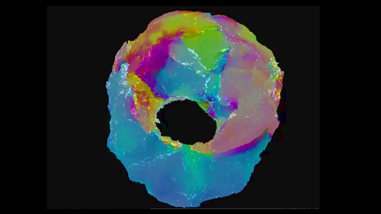 My Lil' Donut Screenshot 1