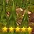 Forest-4 completed