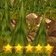Forest-4 completed icon