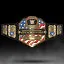Birth of a US Champion icon