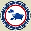 Combine enthusiast icon