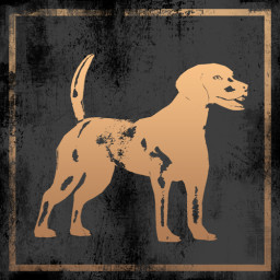 PET icon