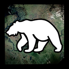 Bear Hunt icon