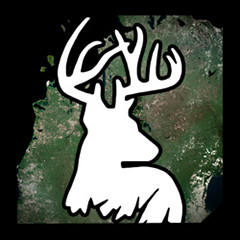 Deer Hunt icon