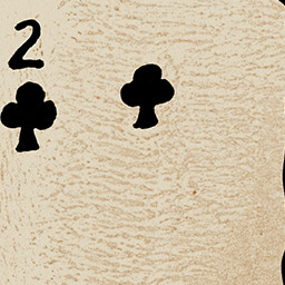 The Tardy Optimist icon