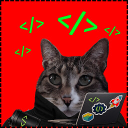 DEV Cat icon