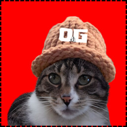 OG Cat icon