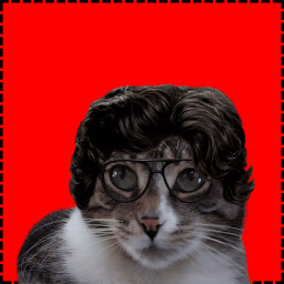 Profesor Cat icon