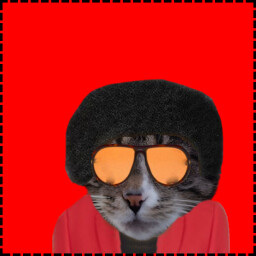 Weeknd Cat icon
