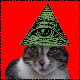Illuminati Cat icon