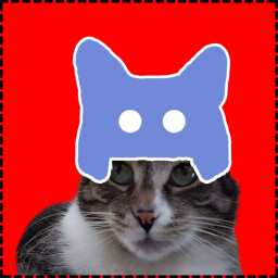 Discord Cat icon