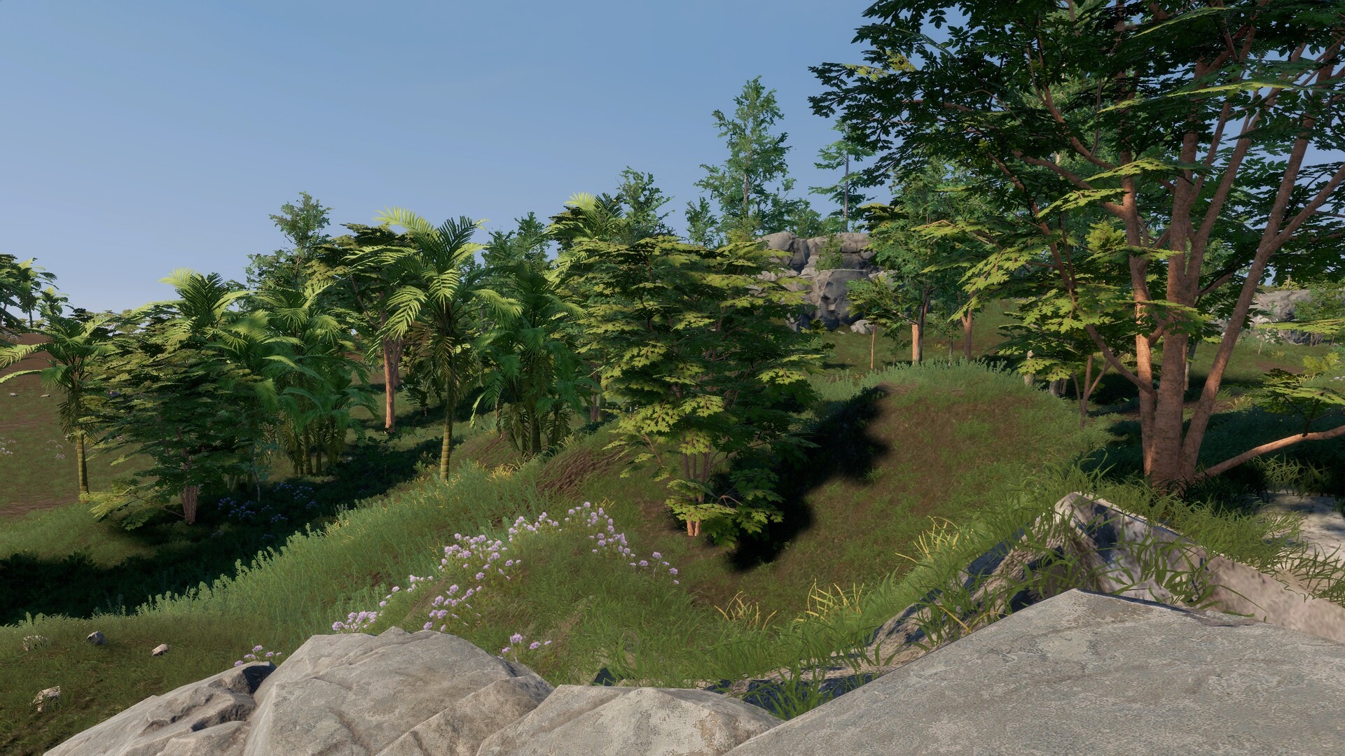 Trials of Wilderness Screenshot 6