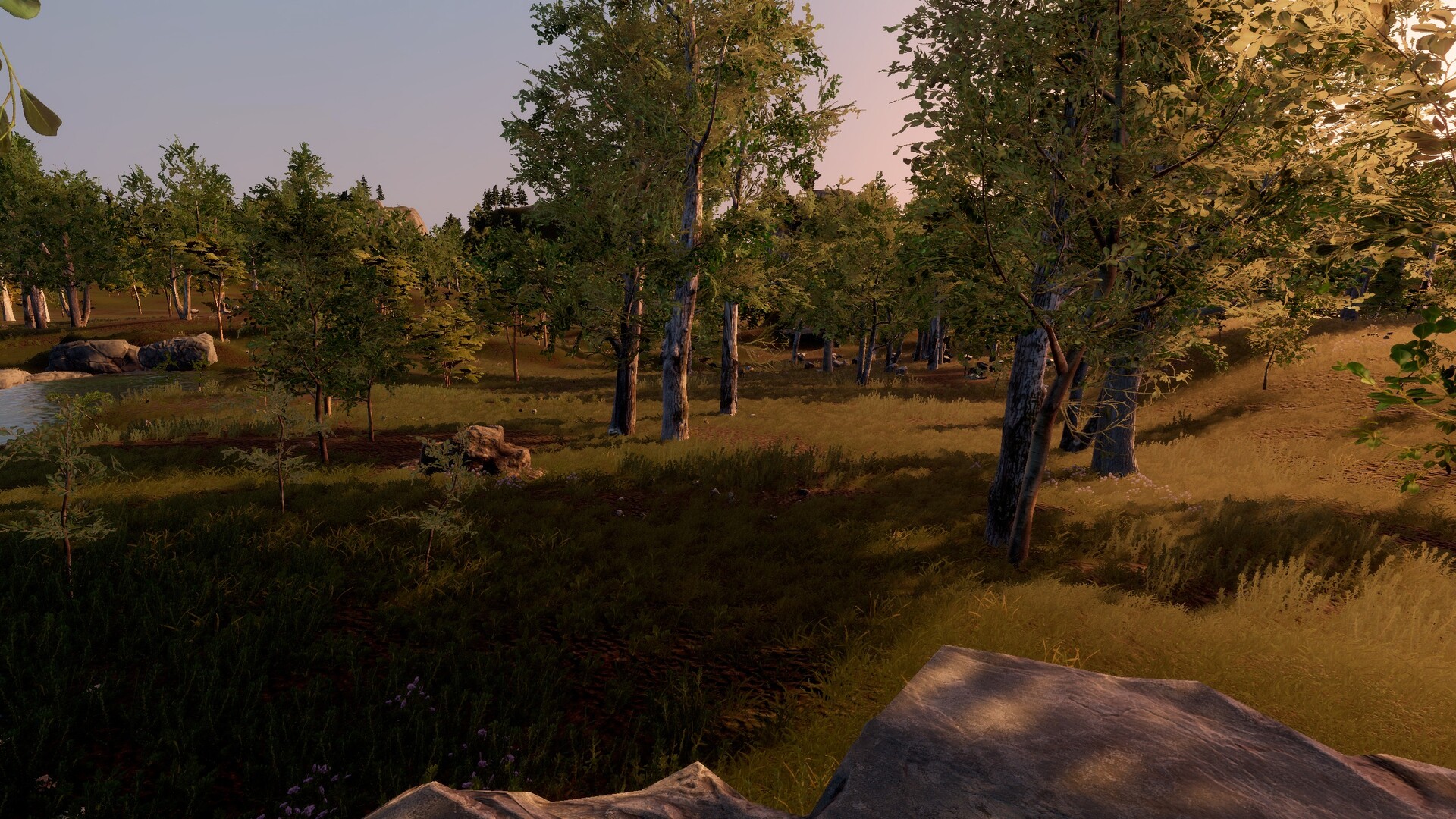 Trials of Wilderness Screenshot 7