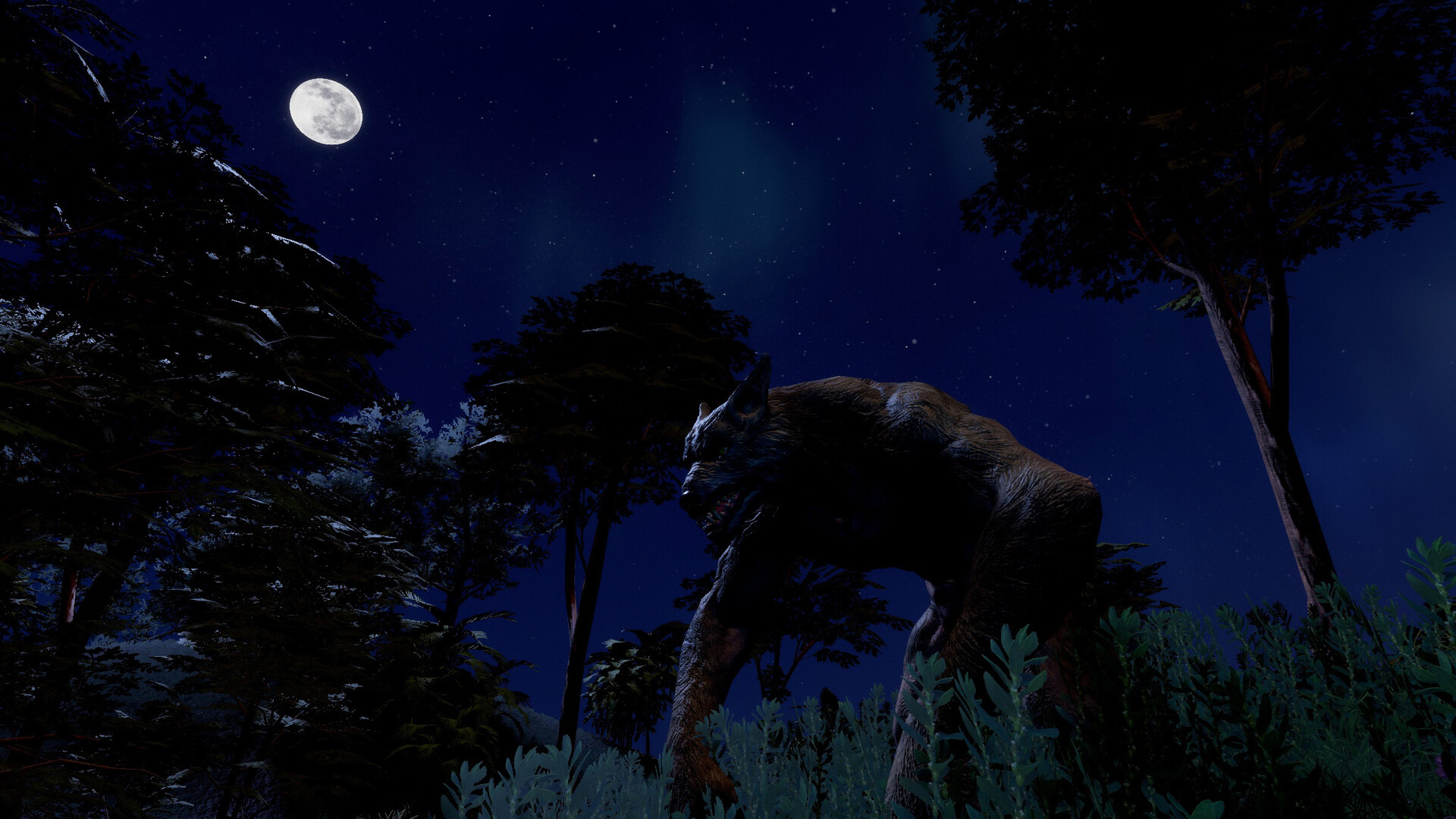 Trials of Wilderness Screenshot 8