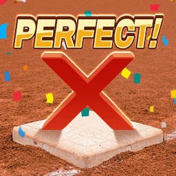 Perfect Game! icon