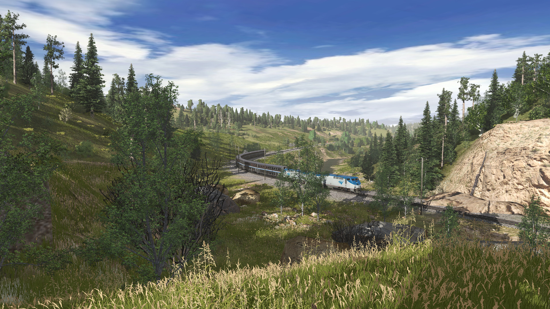 Trainz Plus Screenshot 11