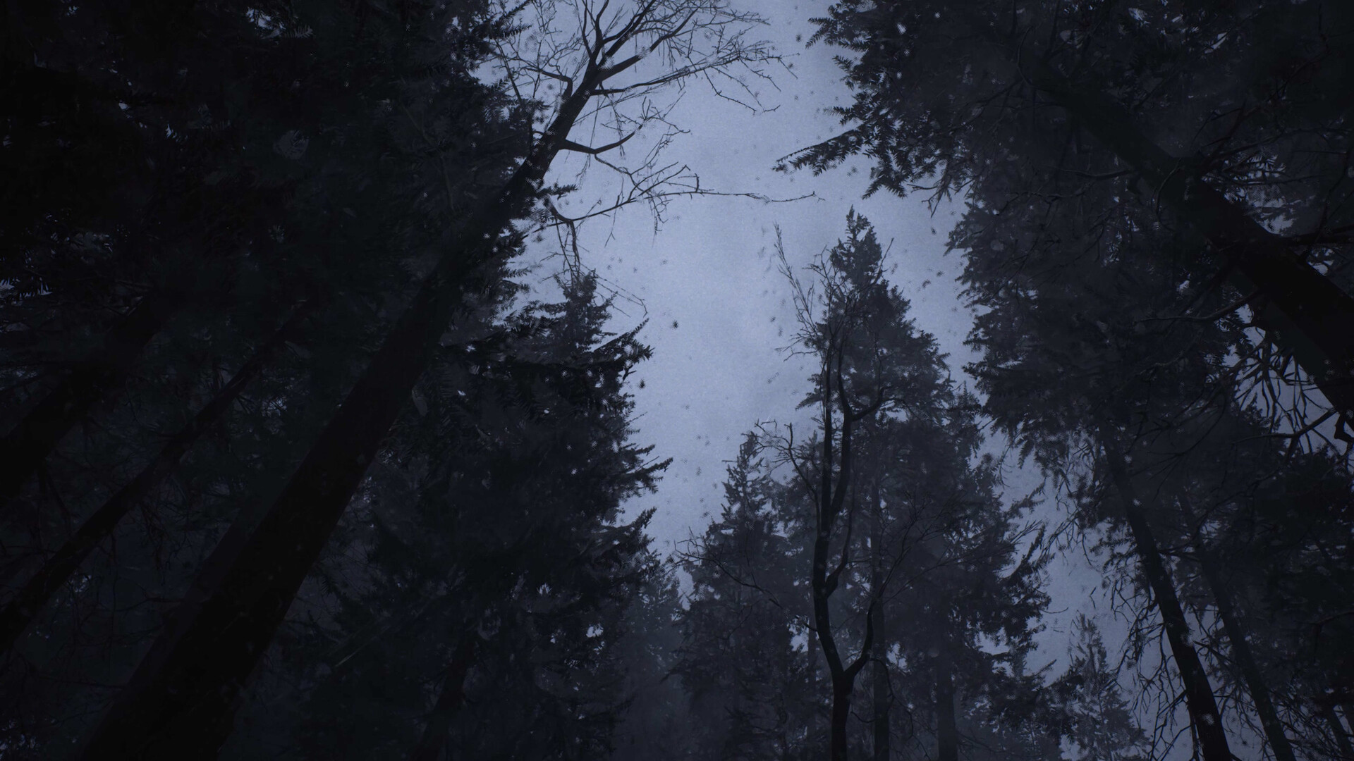 Whispers in the fog Screenshot 17