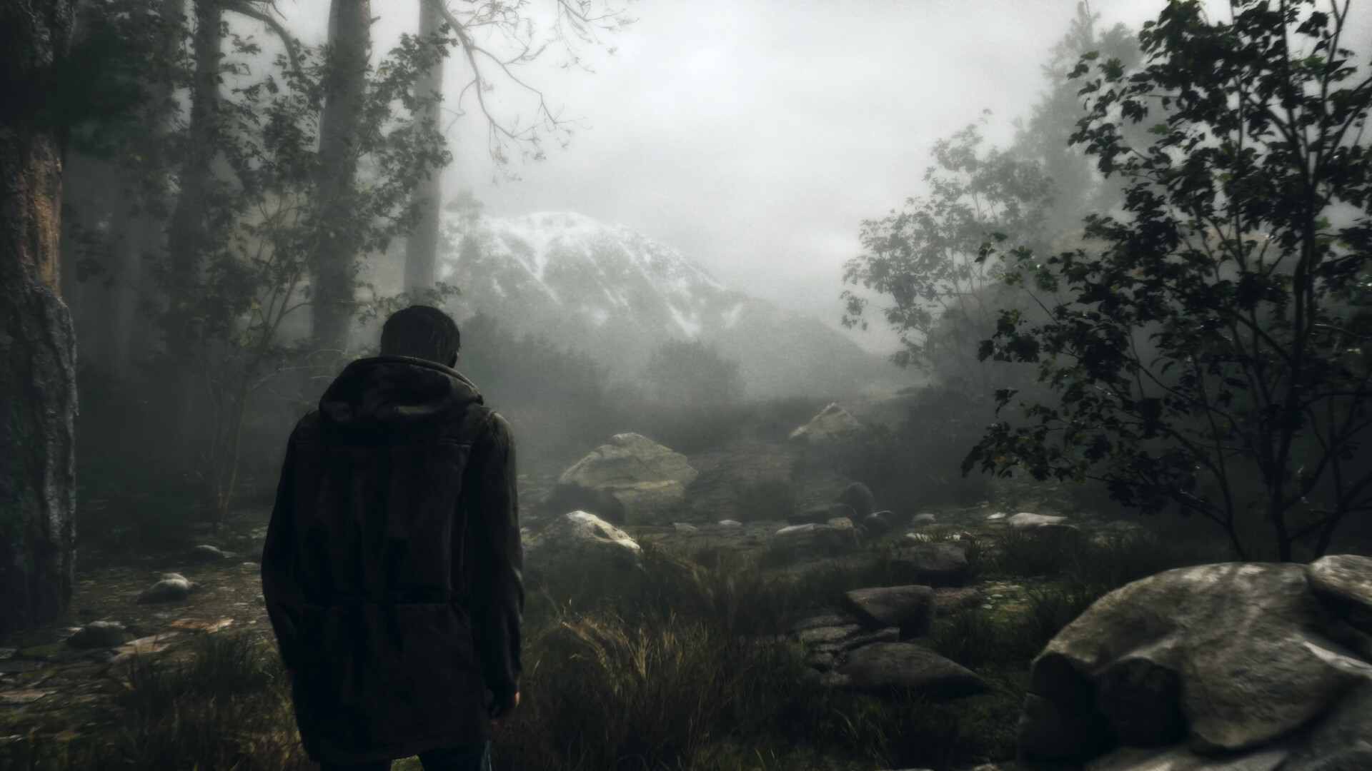 Whispers in the fog Screenshot 0