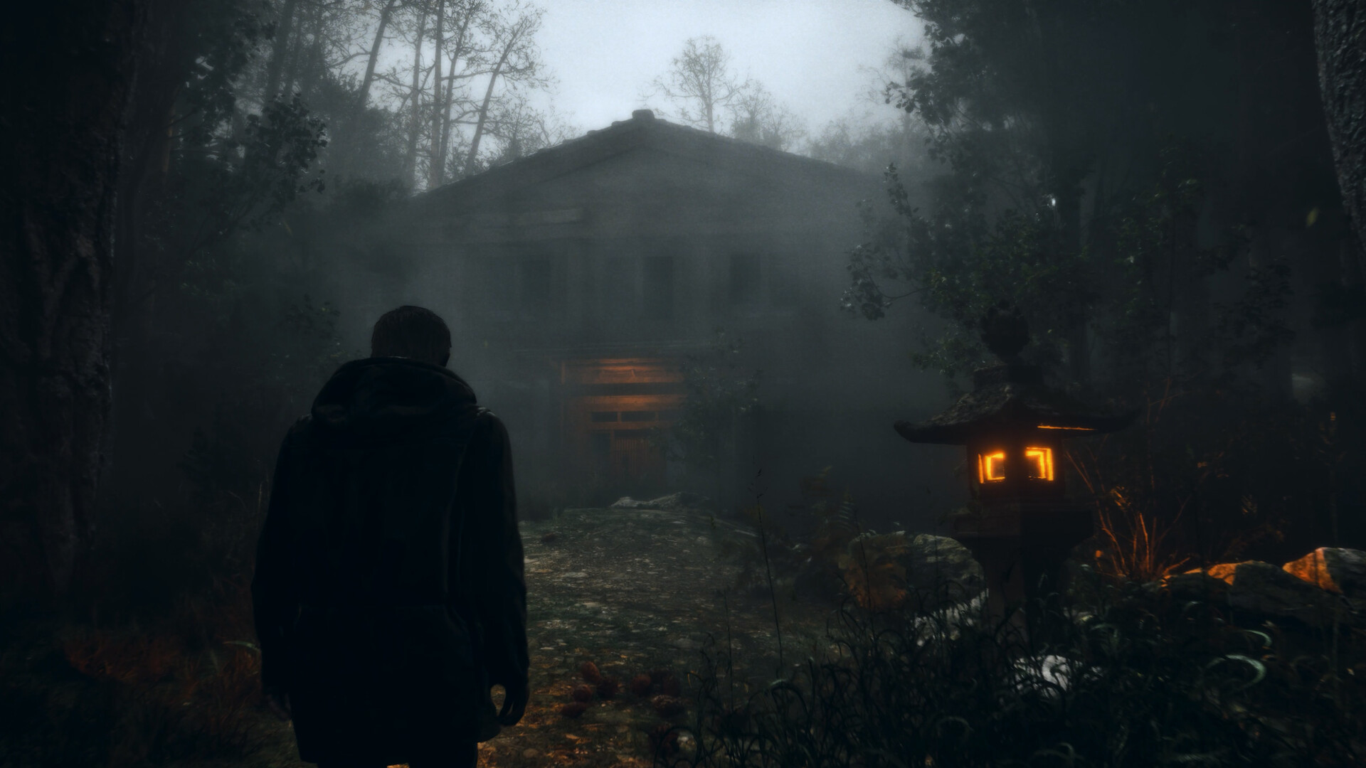 Whispers in the fog Screenshot 5